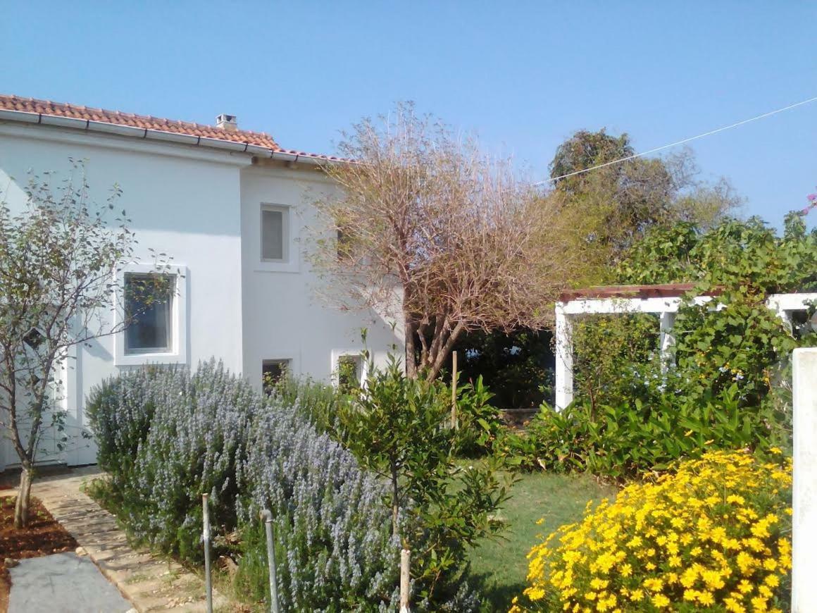 Apartments Lovor Silba Dış mekan fotoğraf
