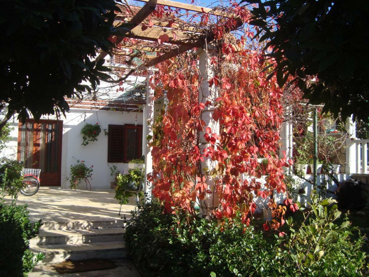 Apartments Lovor Silba Dış mekan fotoğraf