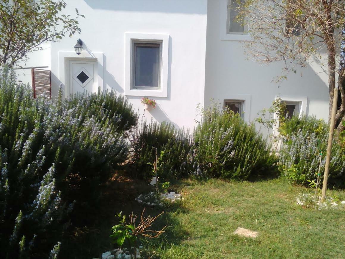 Apartments Lovor Silba Dış mekan fotoğraf