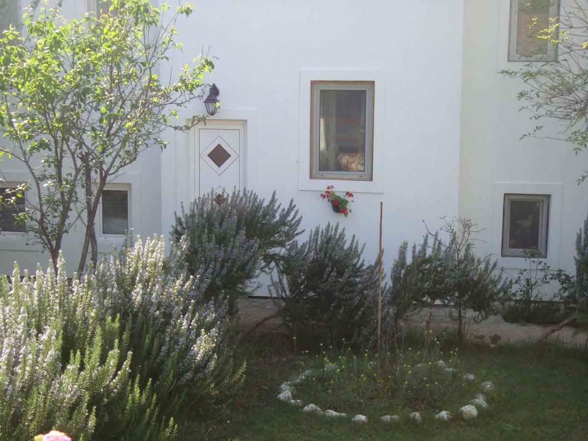 Apartments Lovor Silba Dış mekan fotoğraf