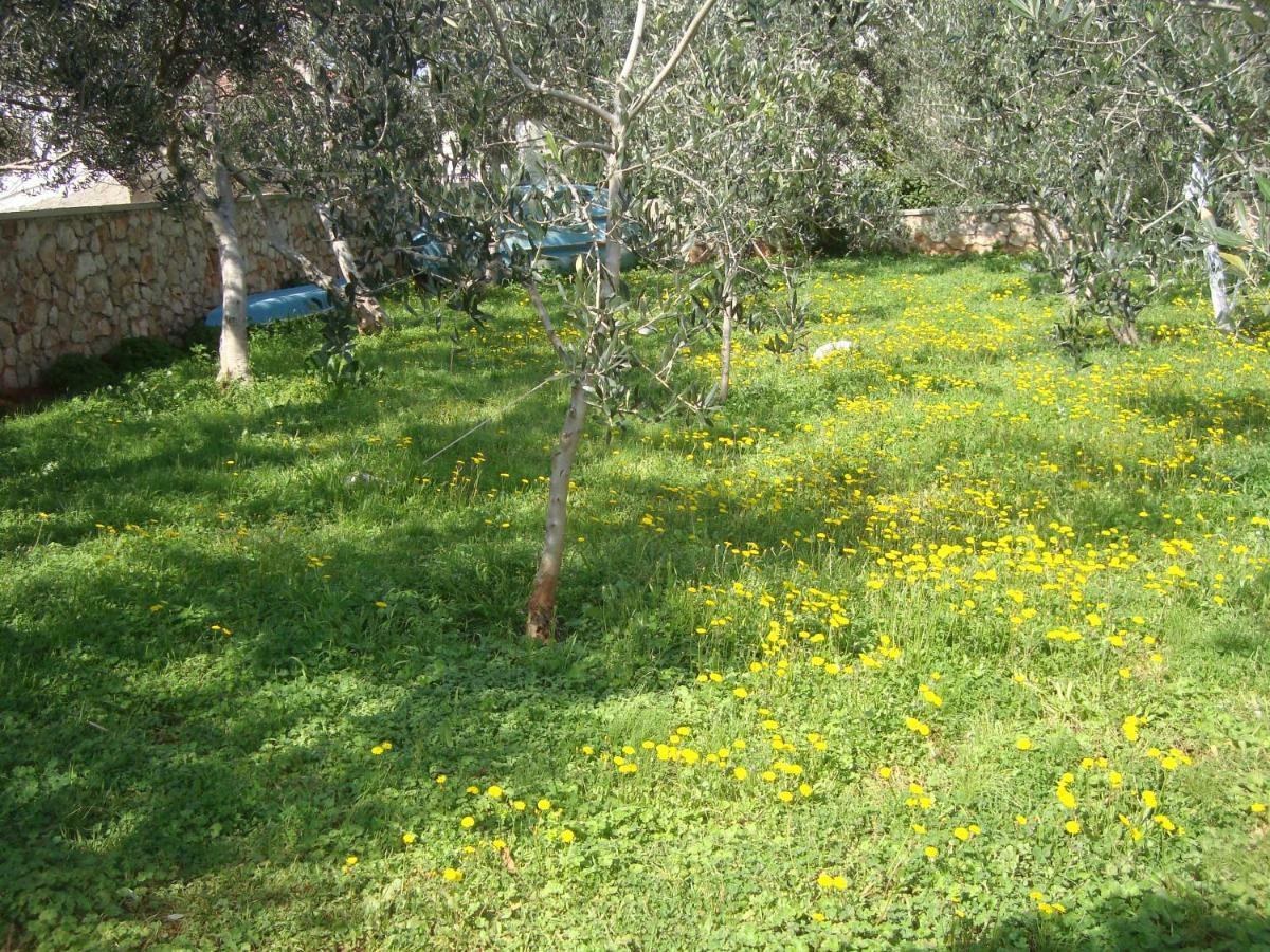 Apartments Lovor Silba Dış mekan fotoğraf
