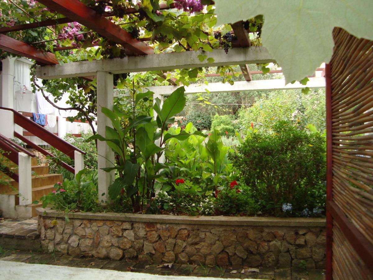 Apartments Lovor Silba Dış mekan fotoğraf