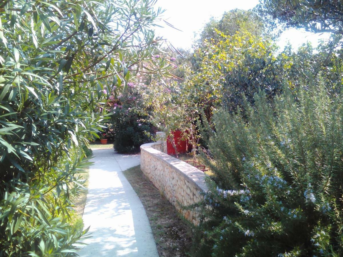 Apartments Lovor Silba Dış mekan fotoğraf