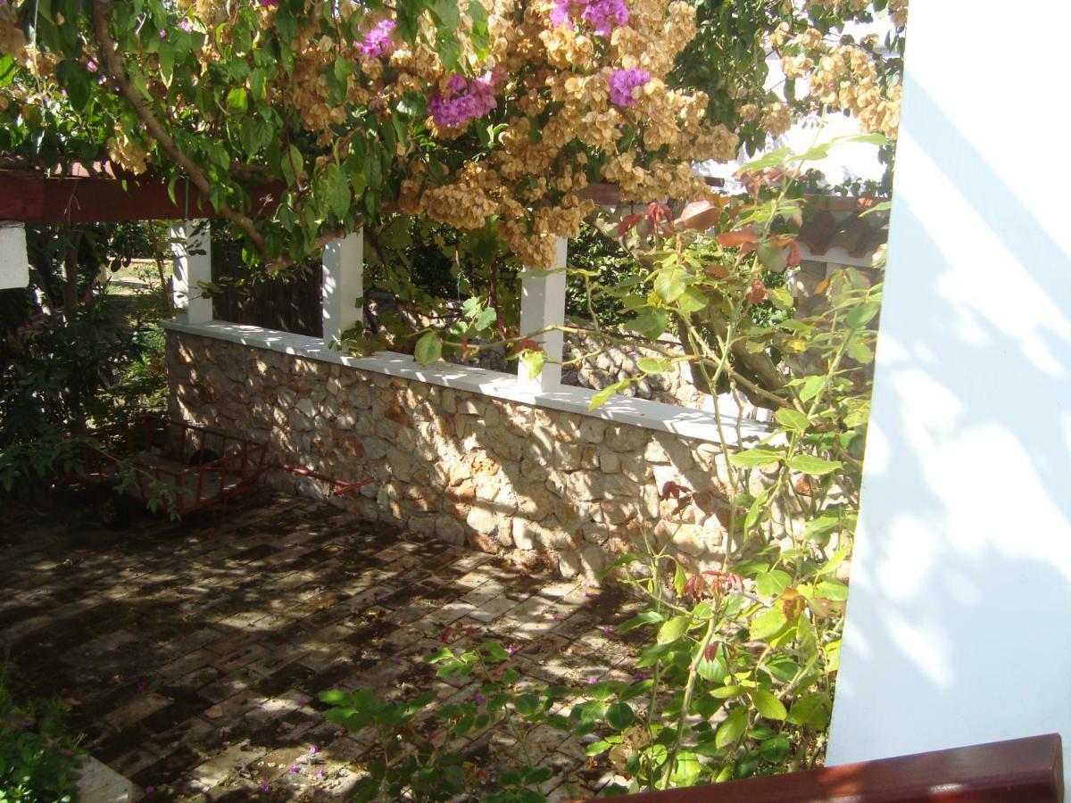 Apartments Lovor Silba Dış mekan fotoğraf