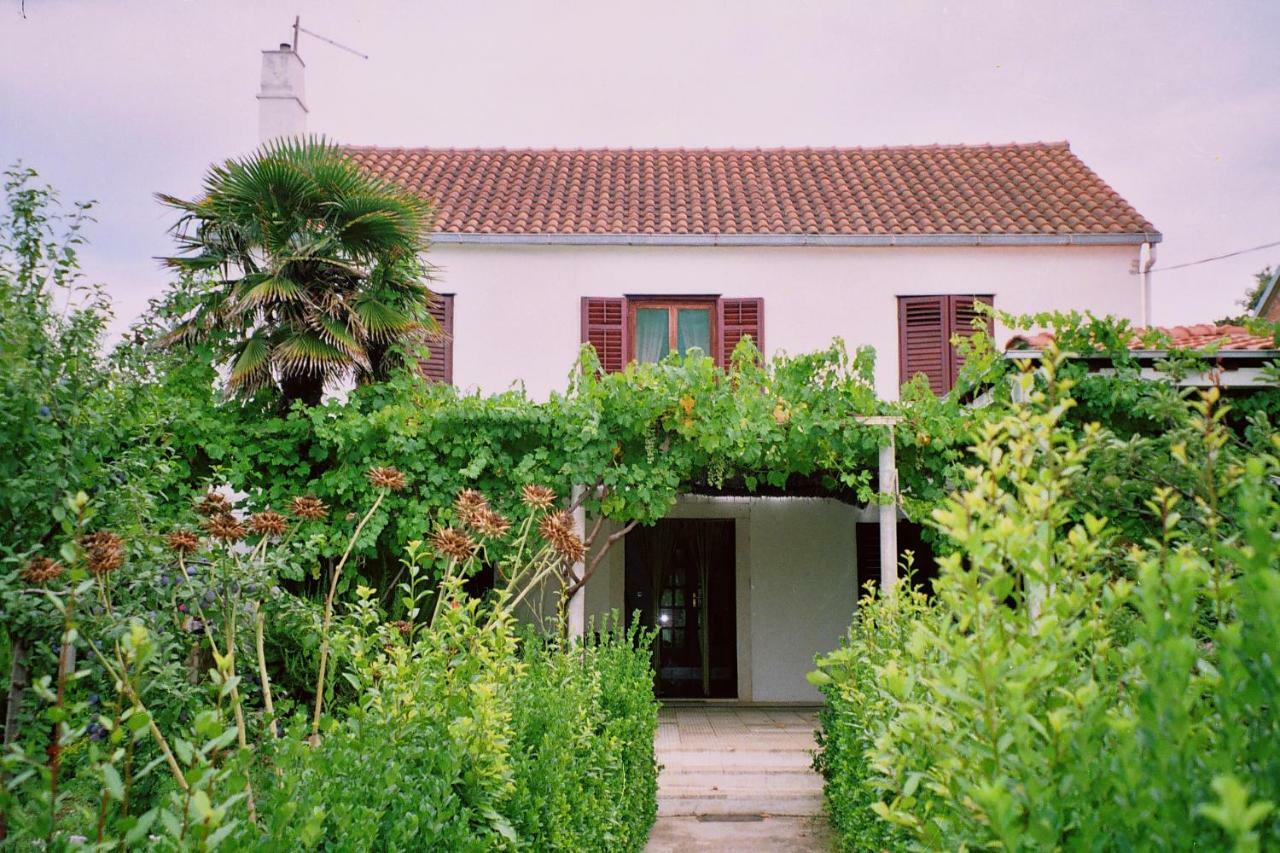 Apartments Lovor Silba Dış mekan fotoğraf